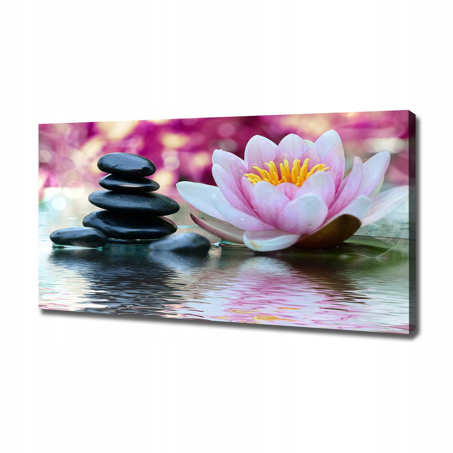 

Foto obraz canvas na ścianę Lilia wodna 120x60 cm
