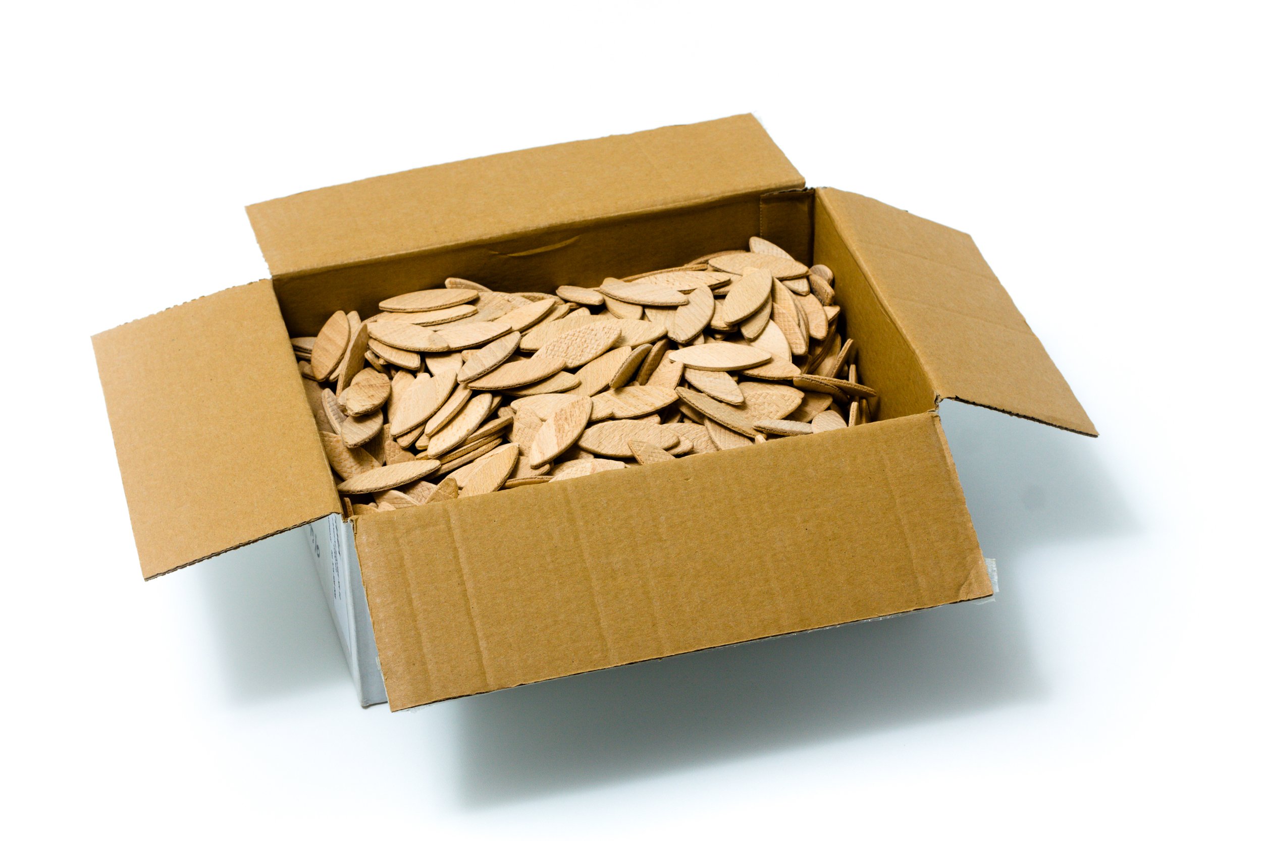 LAMELKI OBCE PIÓRO BUKOWE NR 0 1000 szt TOLUX