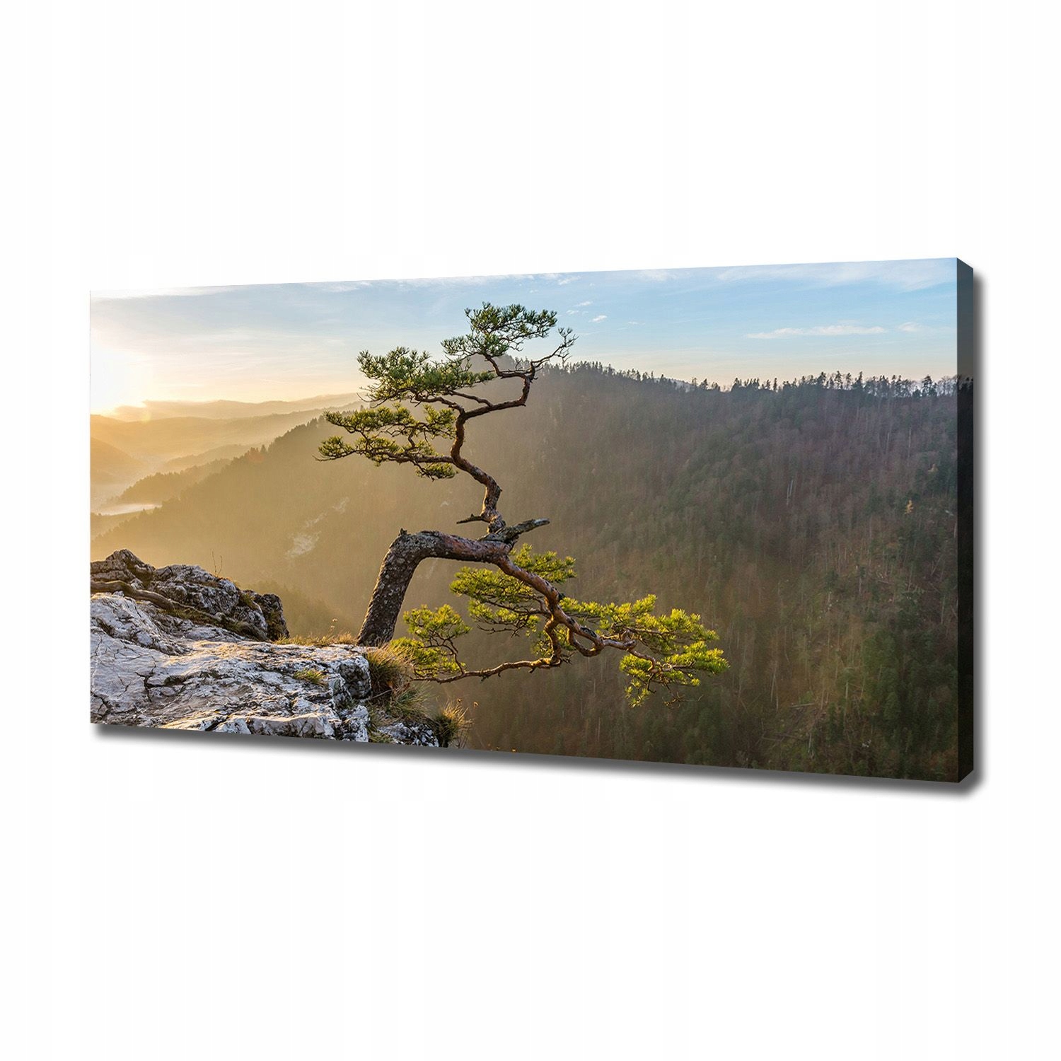 

Foto obraz na płótnie Sokolica Pieniny 120x60 cm