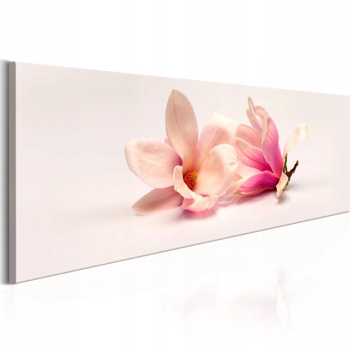 

Obraz - Piękne magnolie - 150X50
