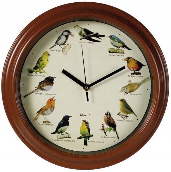 

Zegar Ścienny Ptaki Ptasie Odgłosy 30 cm Gadżet