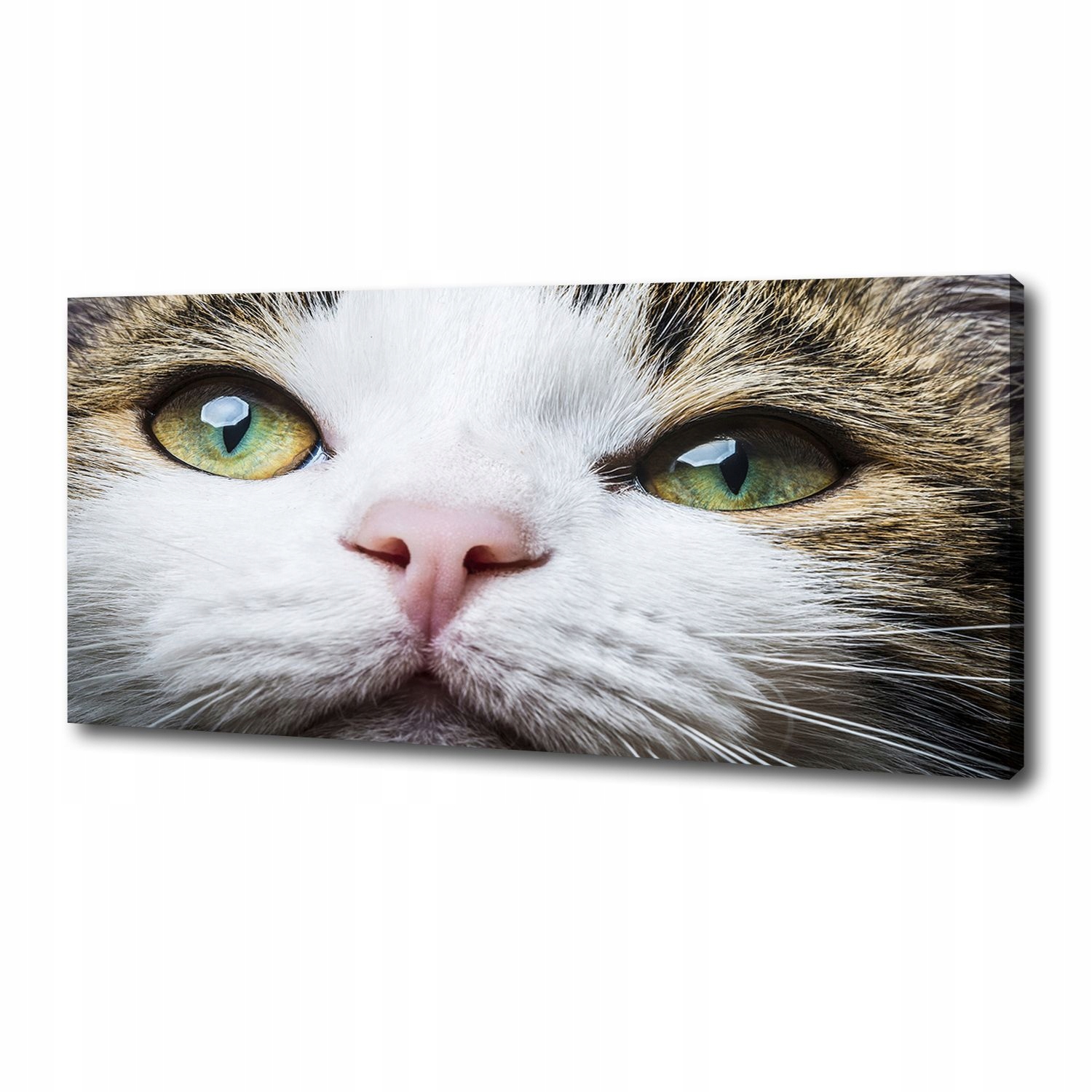 

Foto obraz na płótnie Zielone kocie oczy 125x50 cm