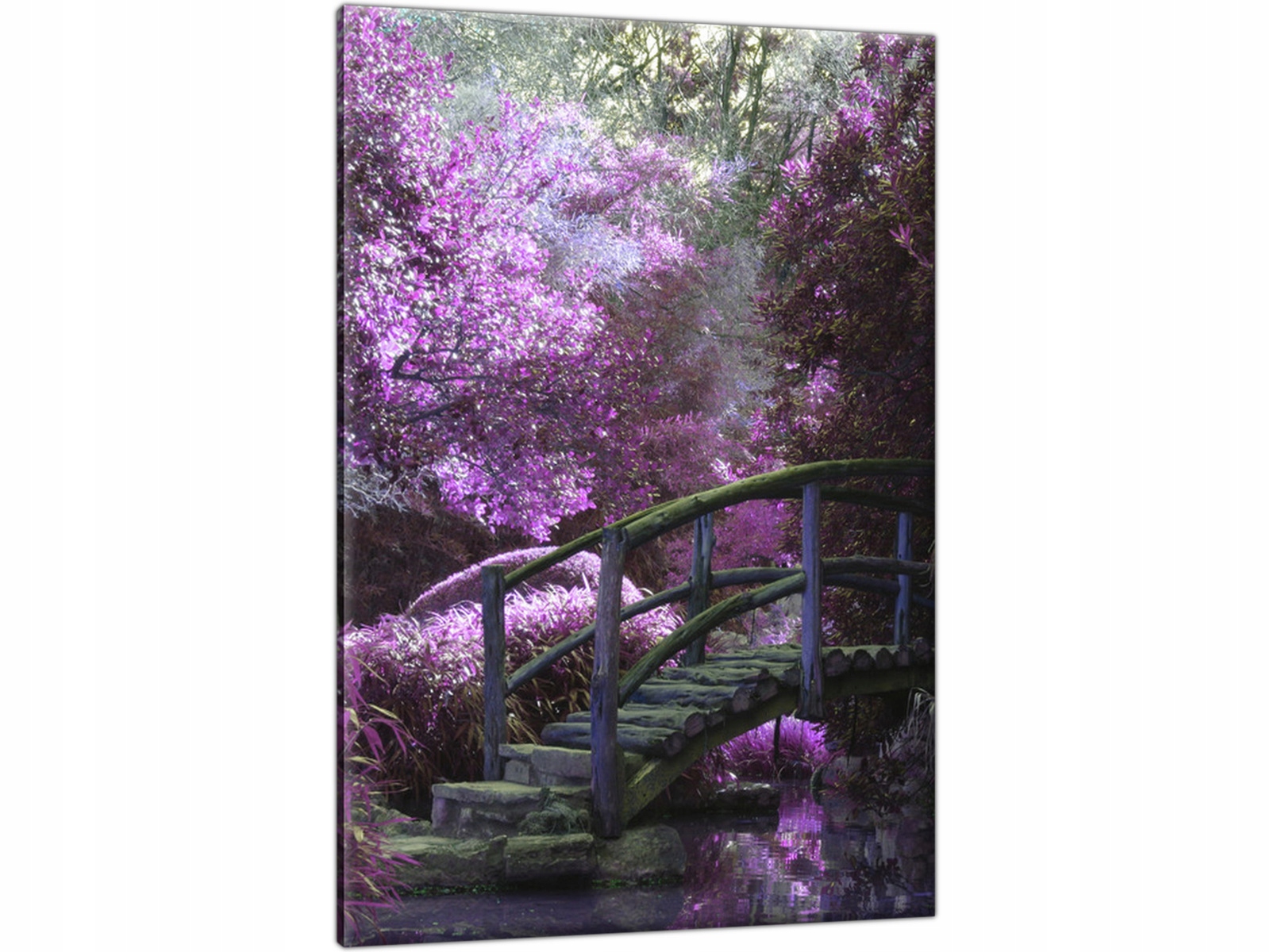 

Piękny Ogród Rzeka Most 70x100 Nowoczesny Obraz