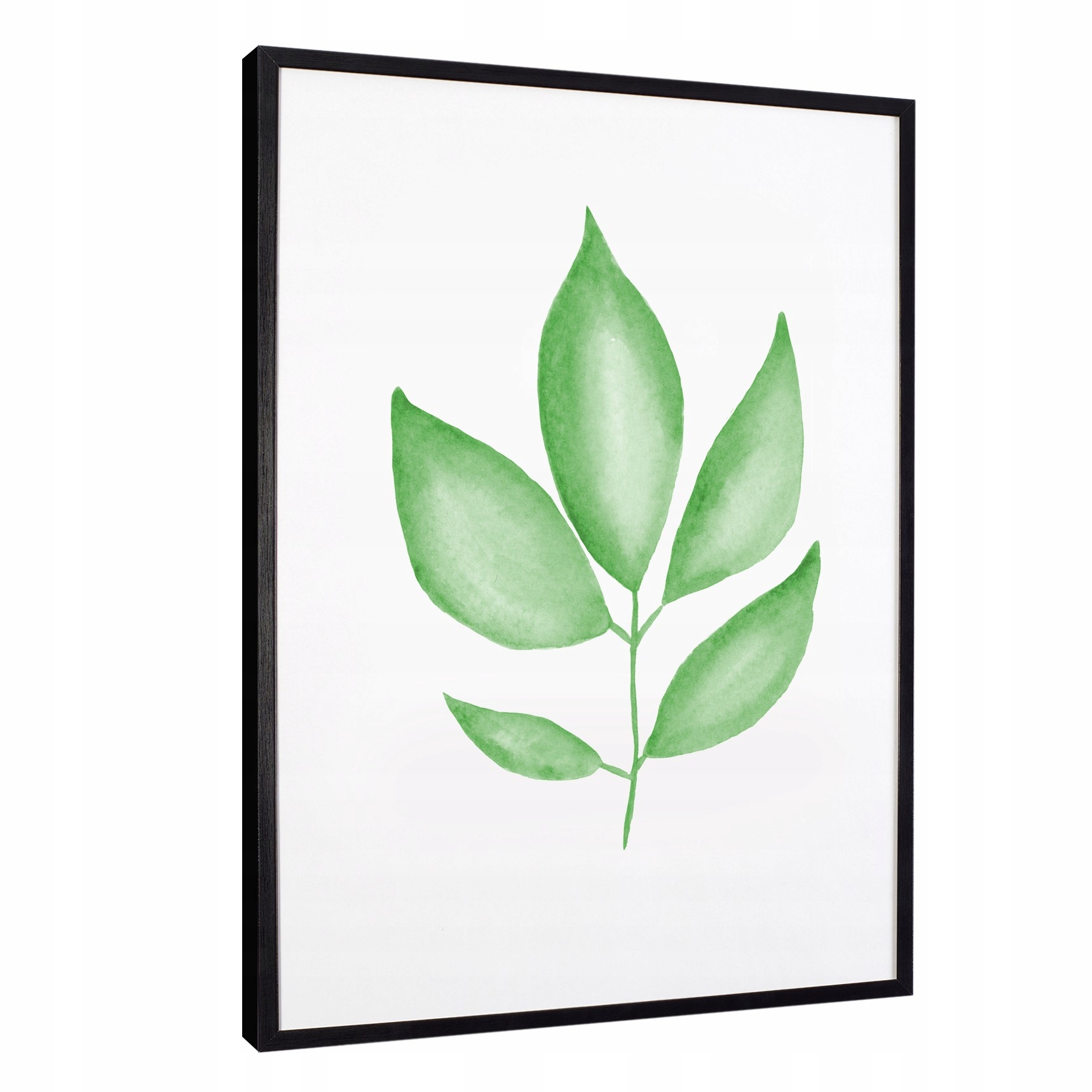 

Nowoczesne obrazy w ramie leaves zielone liście