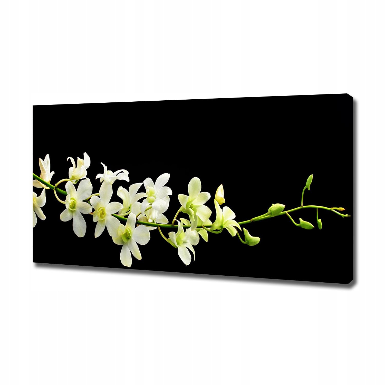 

Foto obraz canvas na ścianę Orchidea 120x60 cm