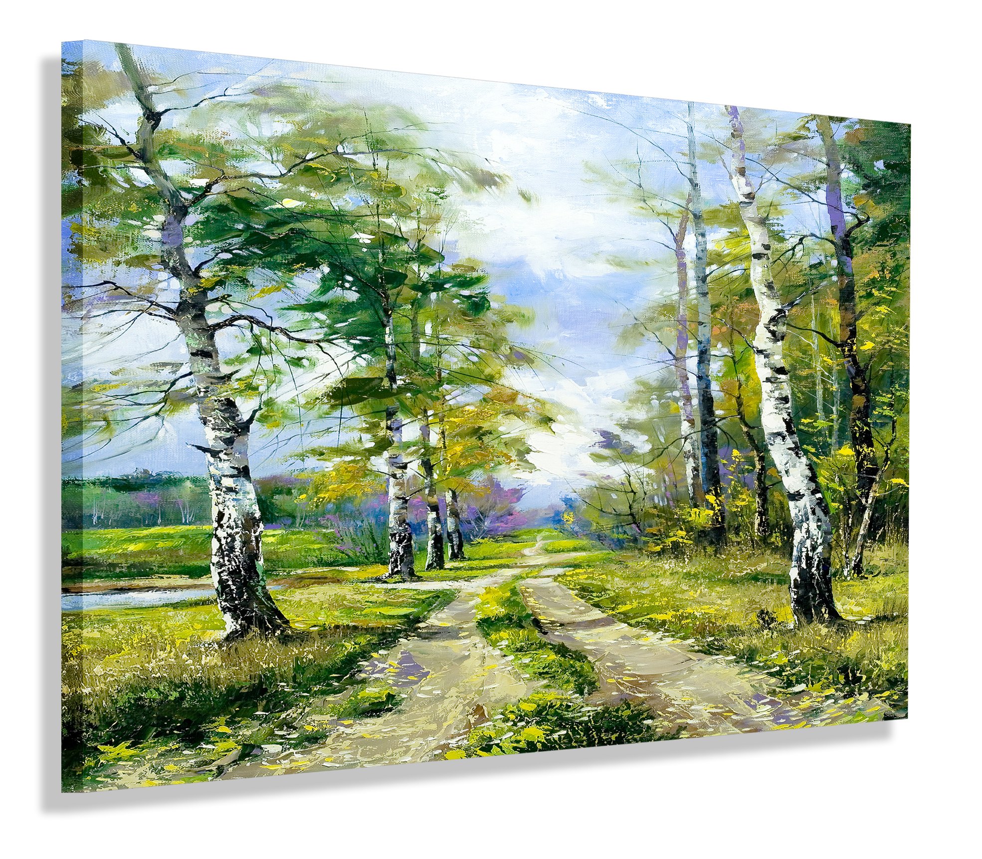 

Obraz Las Droga Brzozy Obrazy Canvas 60x40