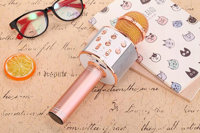 MIKROFON BEZPRZEWODOWY KARAOKE GŁOŚNIK BLUETOOTH Rodzaj do karaoke