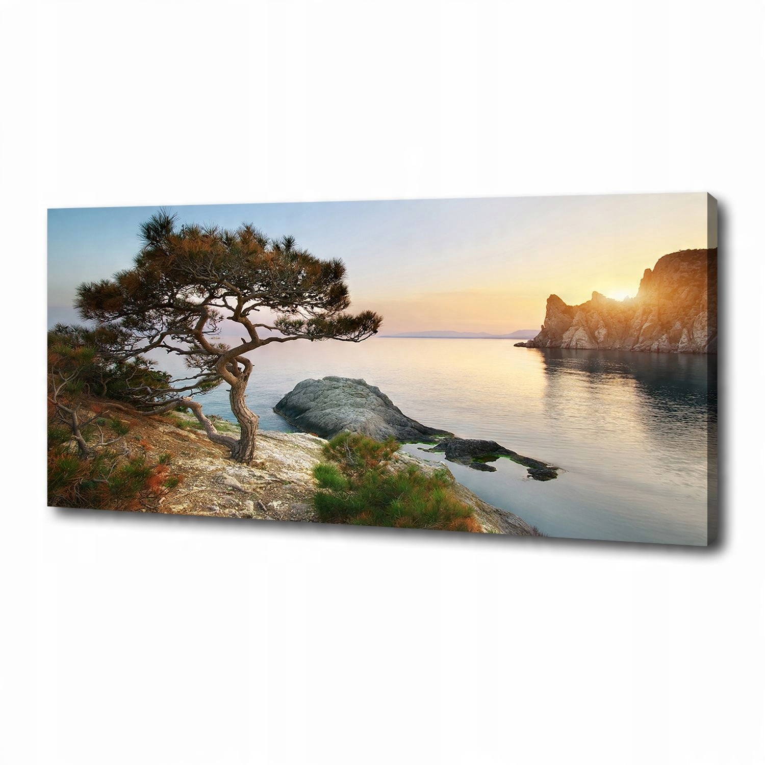 

Foto obraz na płótnie Drzewo nad morzem 125x50 cm