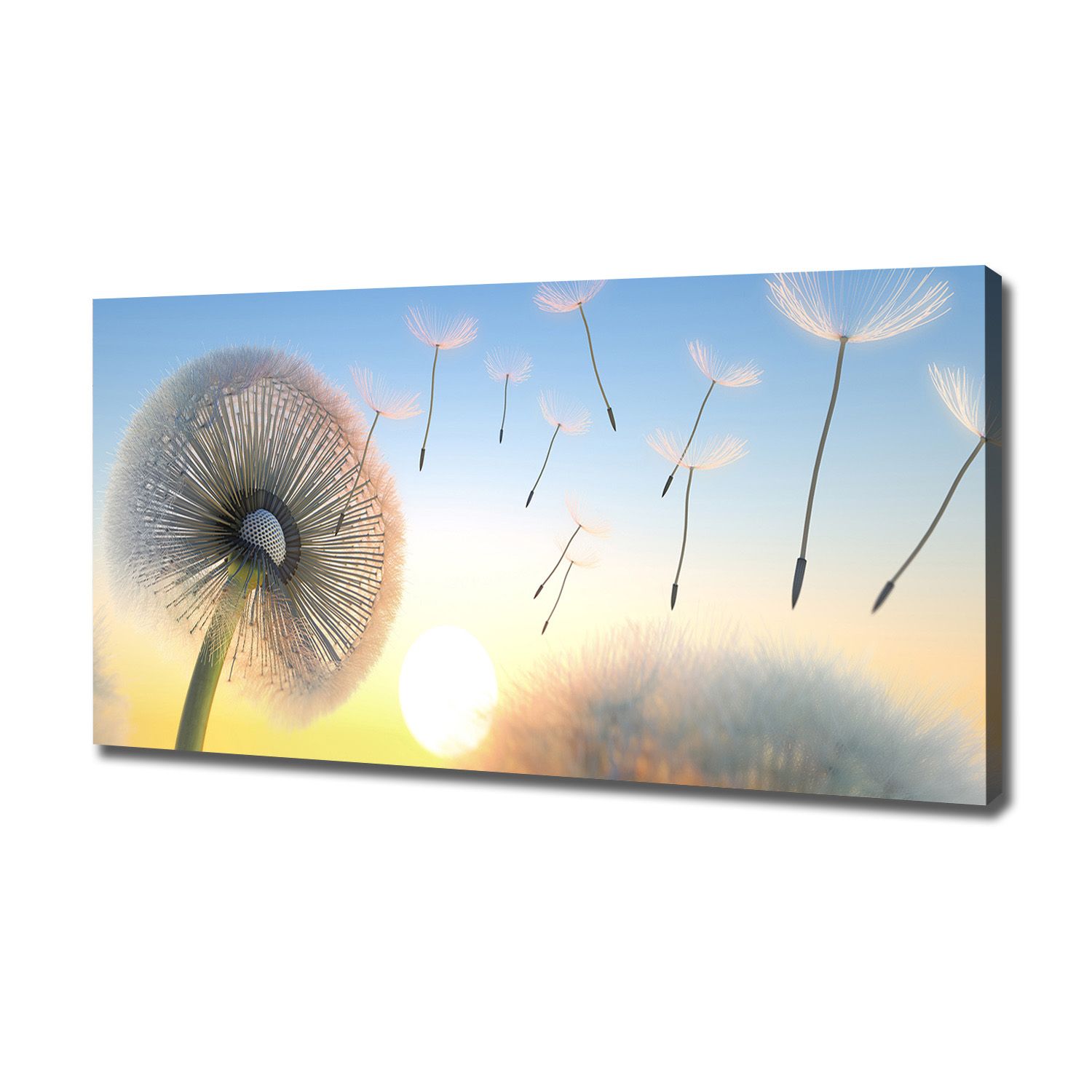 

Foto obraz canvas na ścianę Dmuchawiec 120x60 cm