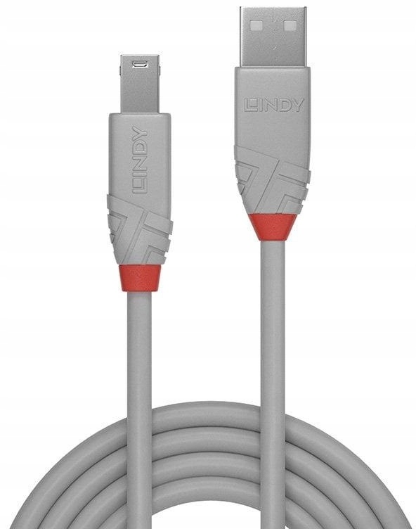 Lindy 36682 kabel USB 1 m USB A USB B Szary