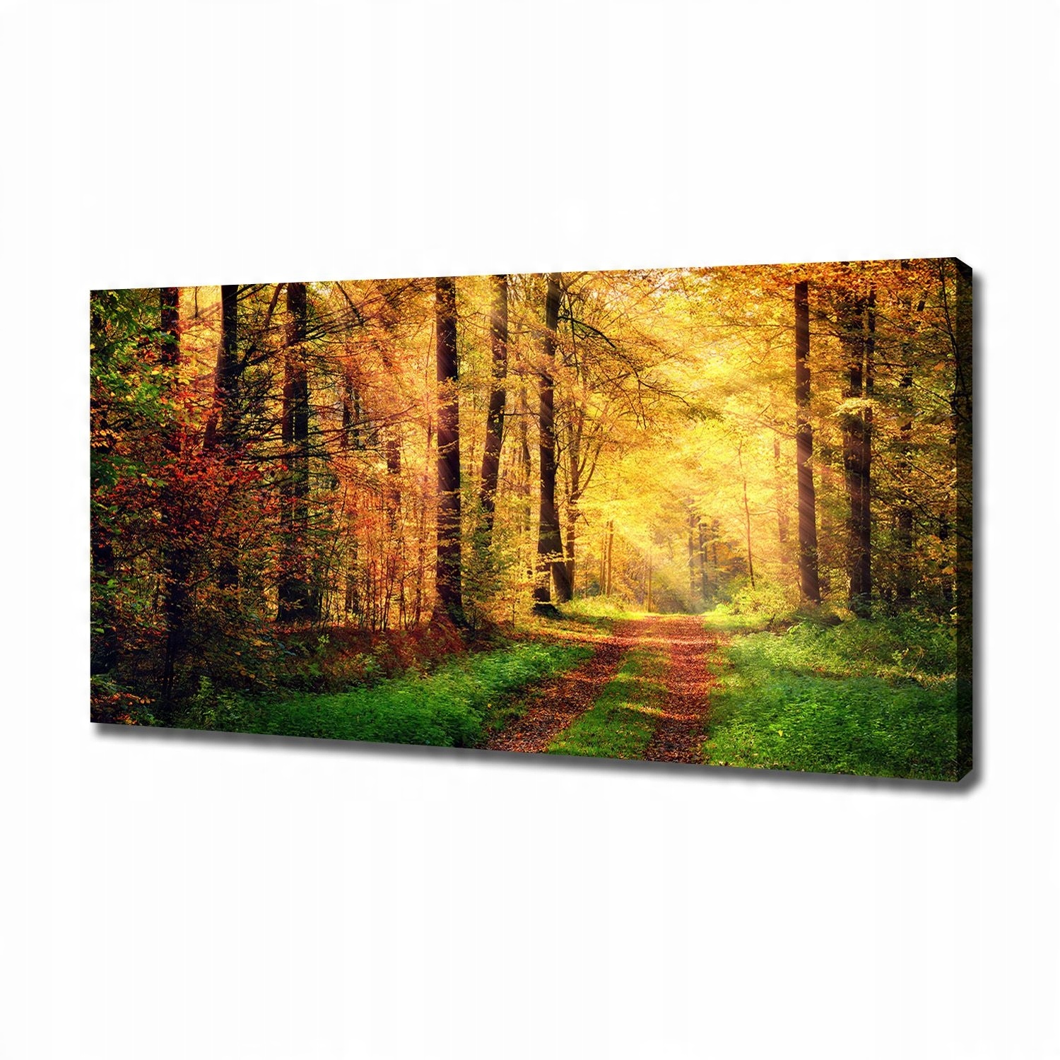

Duży foto obraz na płótnie Las jesienią 120x60 cm