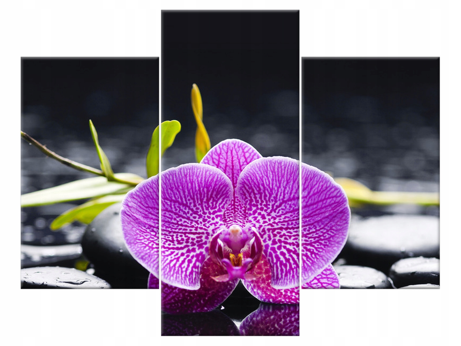 

Obraz Tryptyk Orchidea 90x70 Kwiaty canvas salon
