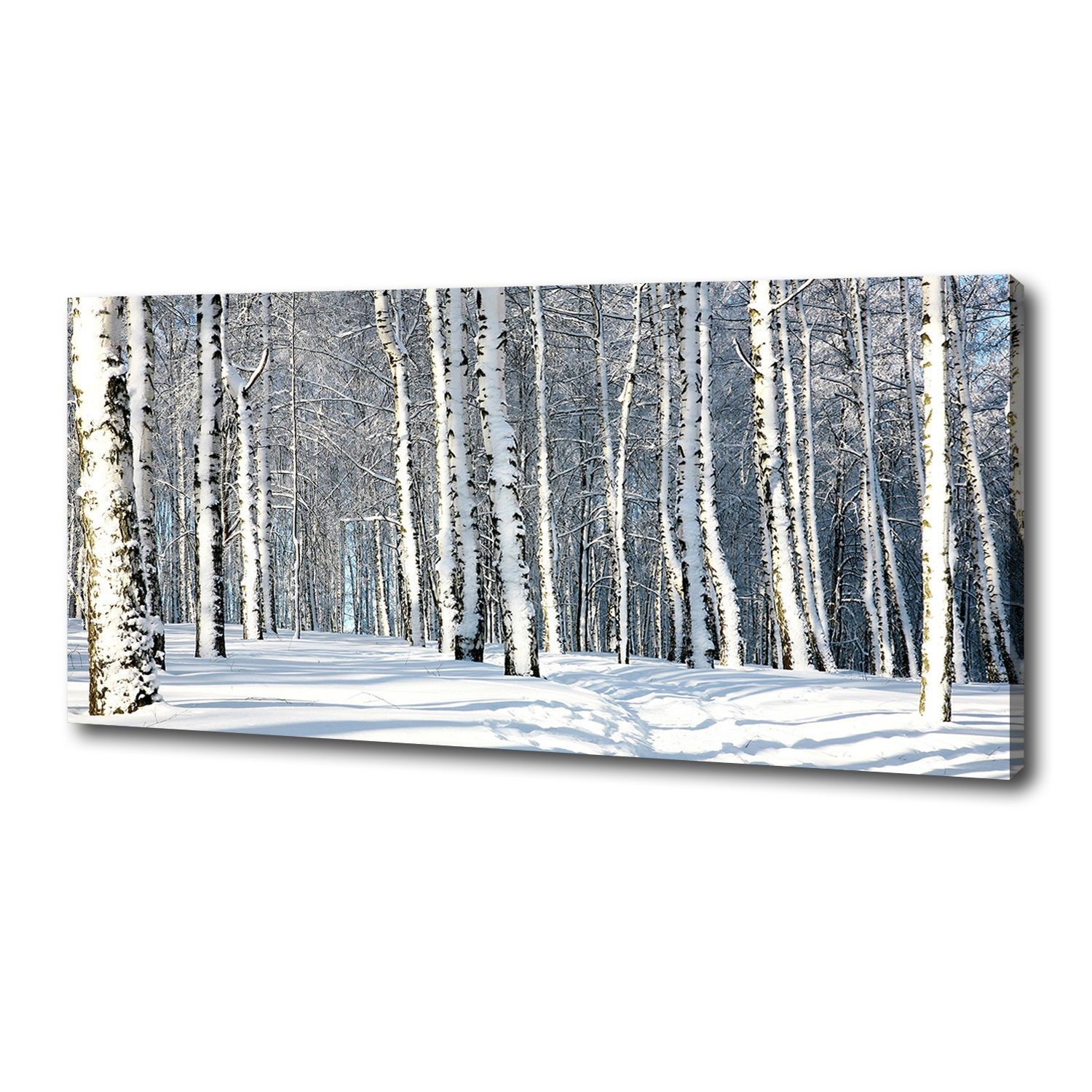 

Foto obraz canvas na ścianę Las zimą 125x50 cm