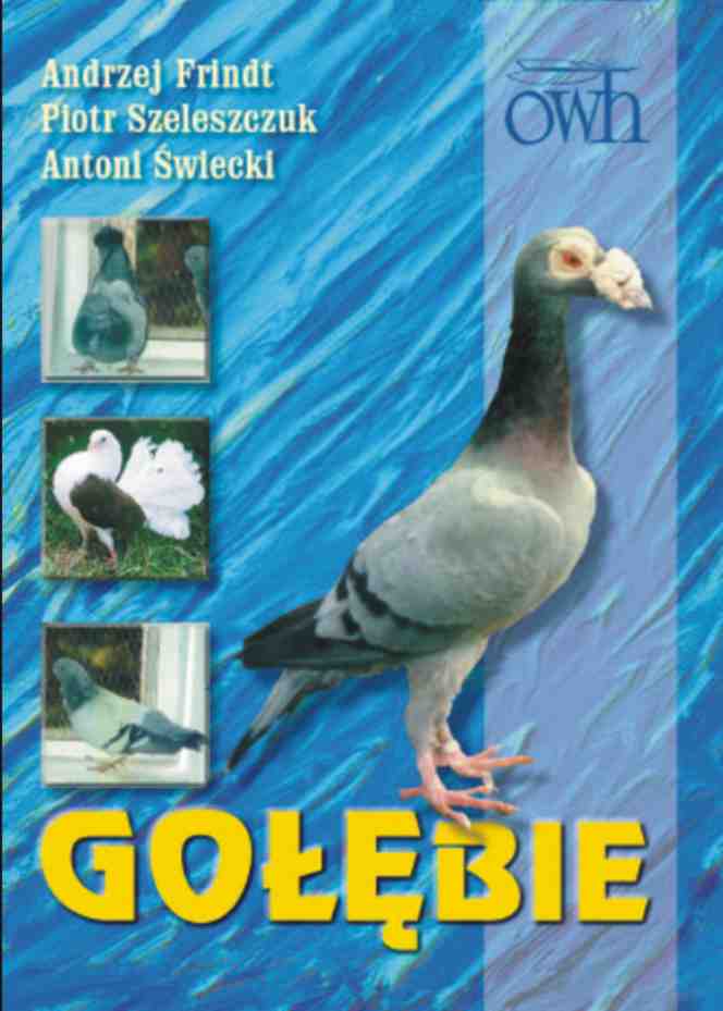 GOŁĘBIE