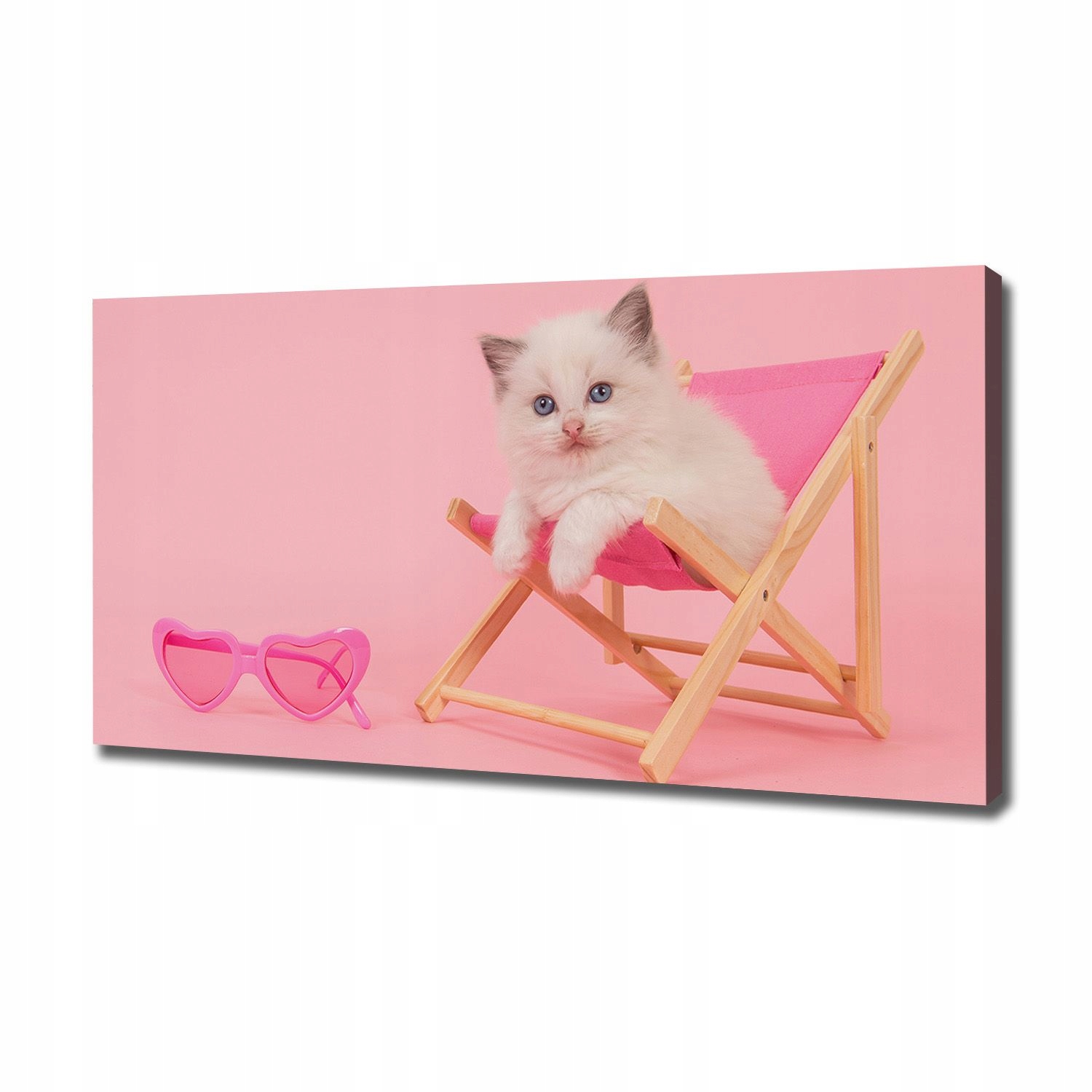 

Foto obraz na płótnie Kot na leżaku 120x60 cm