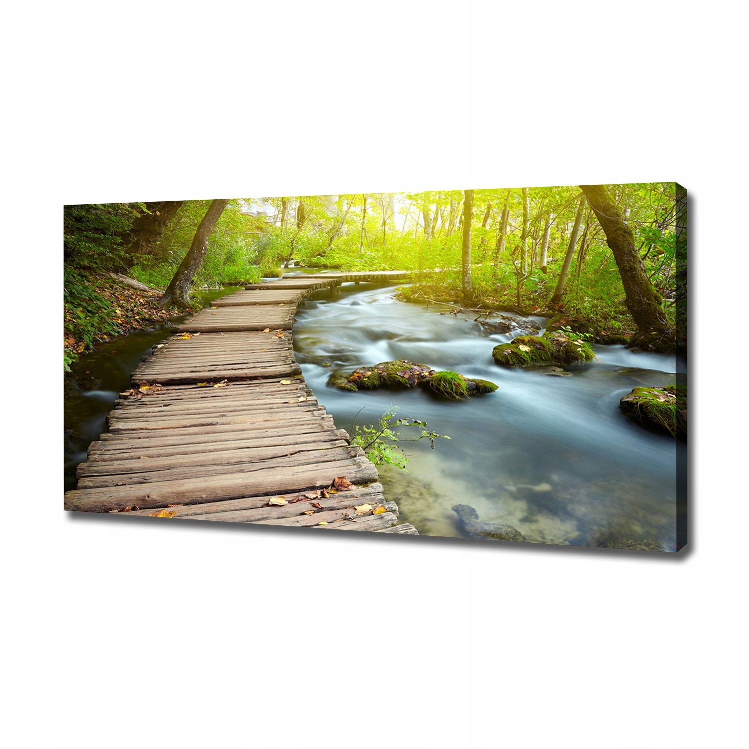 

Foto obraz na płótnie Ścieżka nad rzeką 120x60 cm