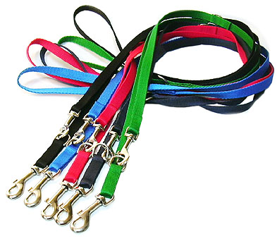 

Smycz dla psa regulowana Dino 20mm/240cm mix kolor