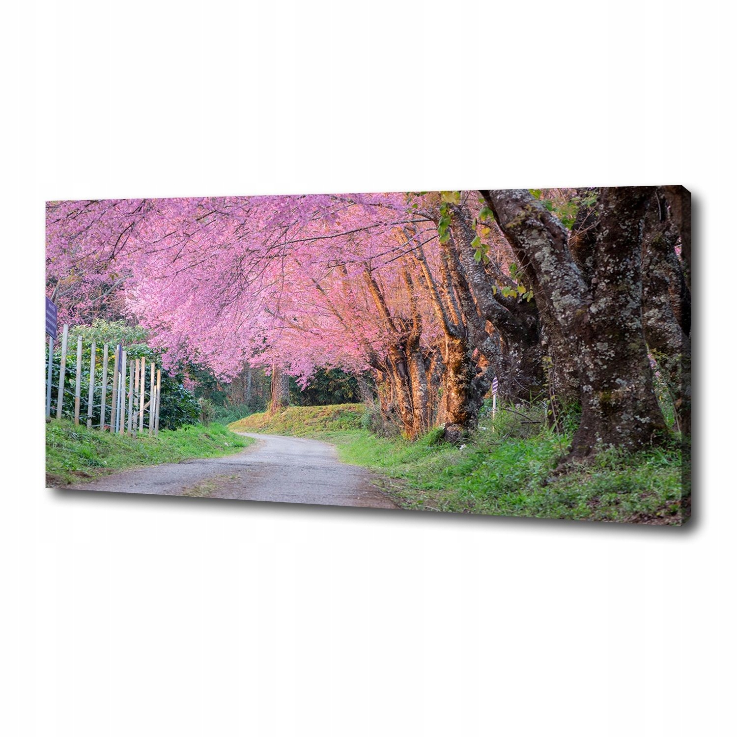 

Foto obraz duży na płótnie Kwiaty wiśni 125x50 cm