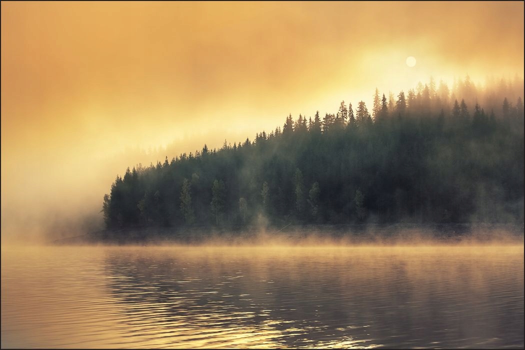 

Fototapeta do salonu las vintage słońce 270x405