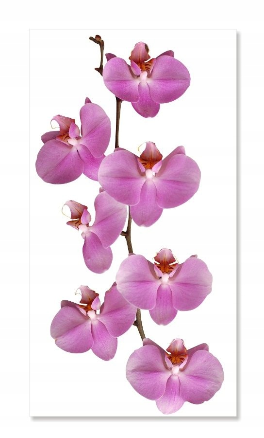 

Naklejki na ścianę meble lustro 70cm Orchidea 2