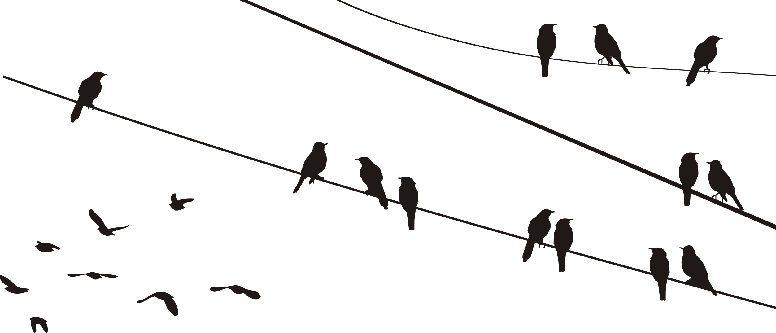 

Ptaki 2 bird 120x48cm Naklejka Ścienna lub Szablon