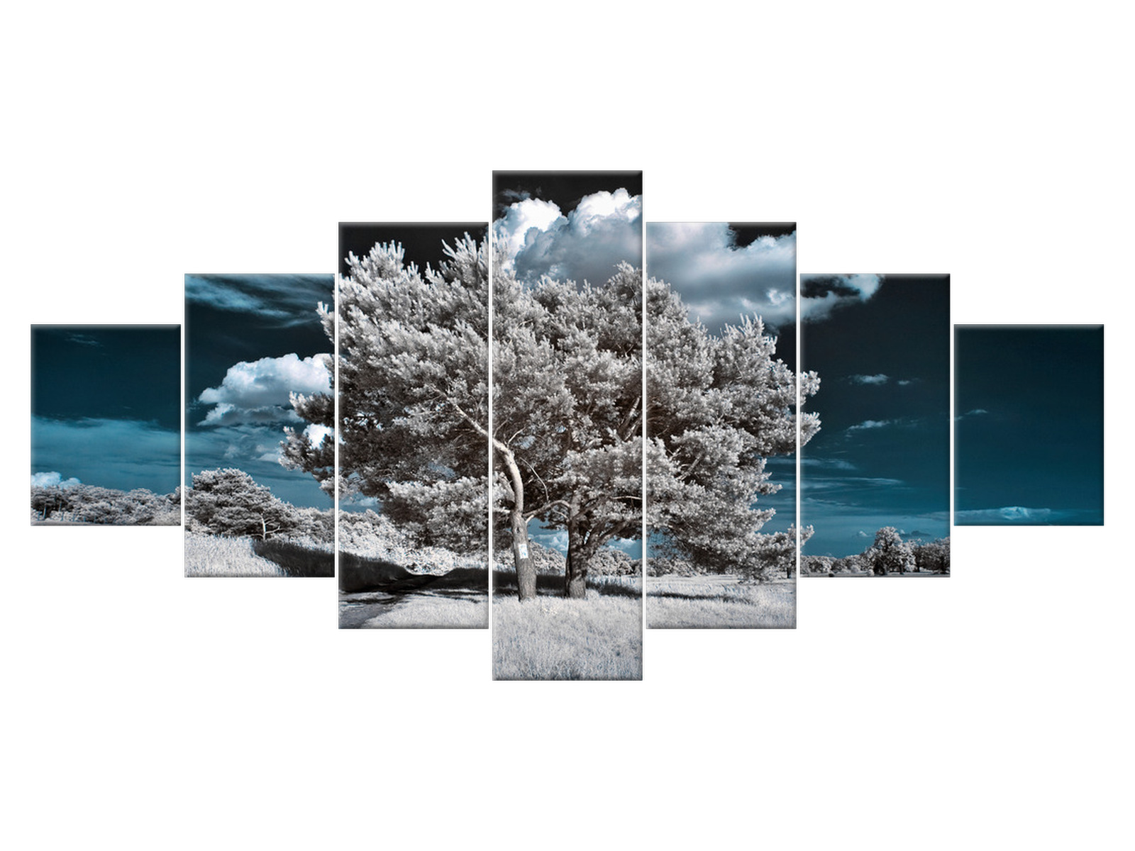 

Obraz Pejzaż Silne drzewa 210x100 Drzewo do salonu