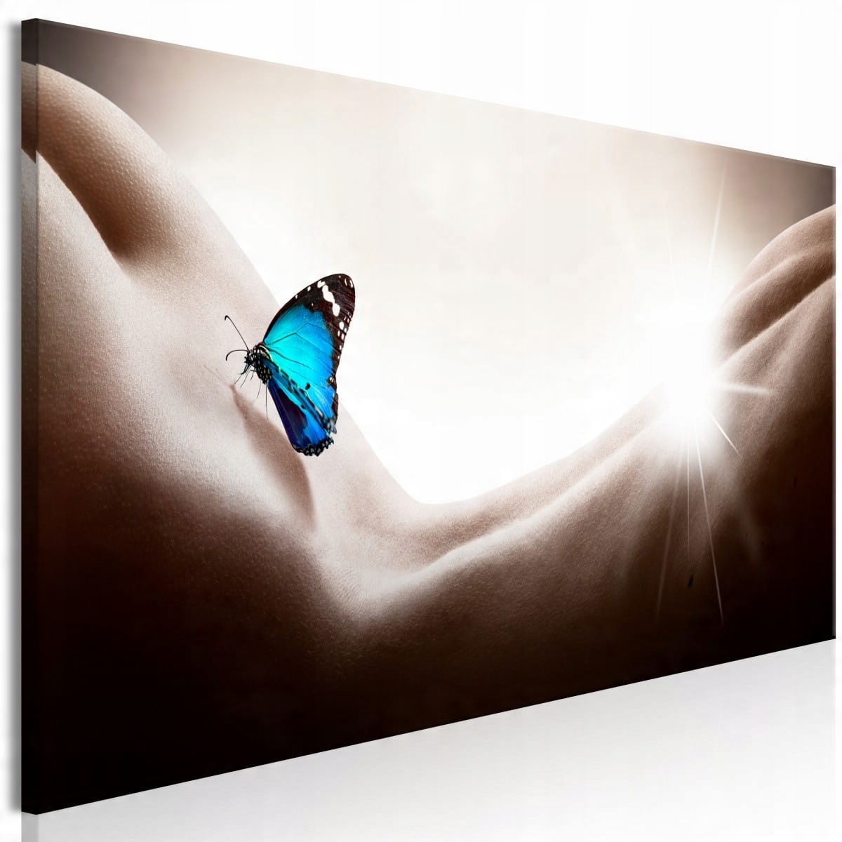 

Obraz - Kobieta i motyl (1-częściowy) wąski 150X50