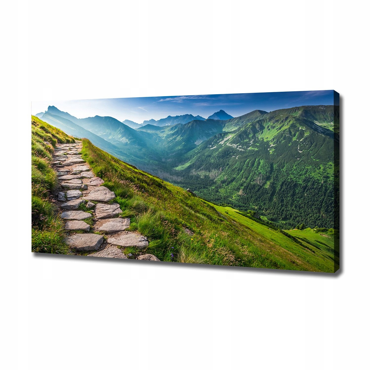 

Foto obraz na płótnie Ścieżka w Tatrach 120x60 cm