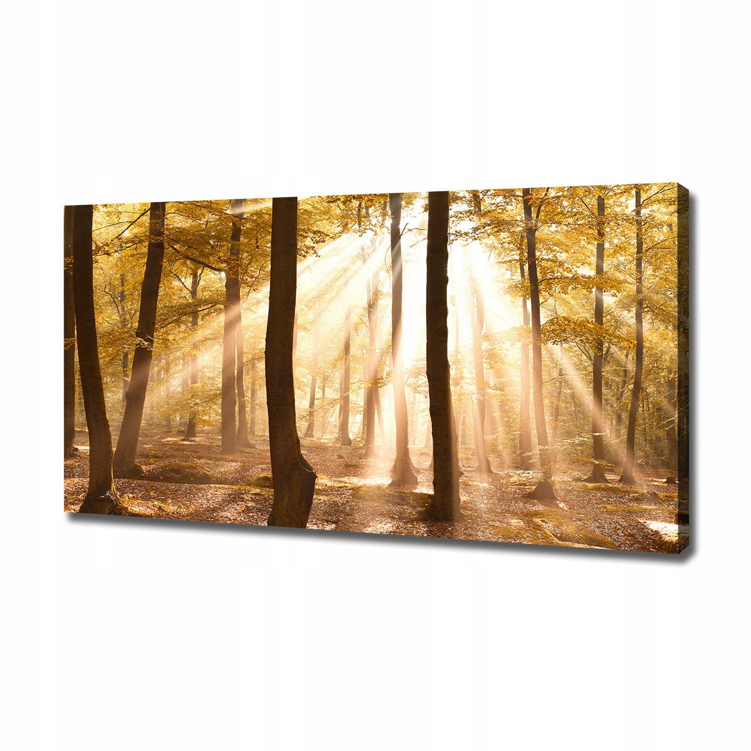 

Duży foto obraz na płótnie Las jesienią 120x60 cm