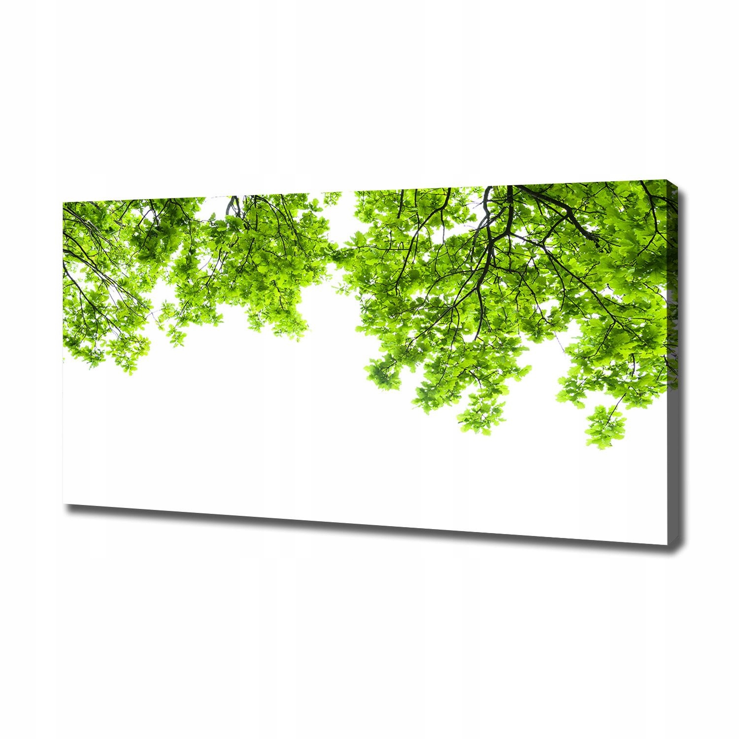 

Foto obraz canvas na ścianę Liście dębu 120x60 cm