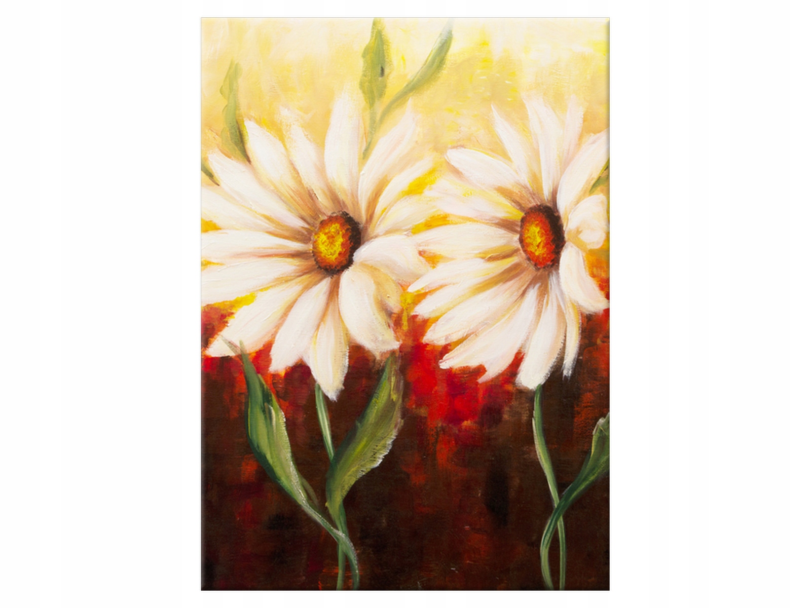 

Obraz Piękne kwiaty Magnolie 50x70 Rośliny salon