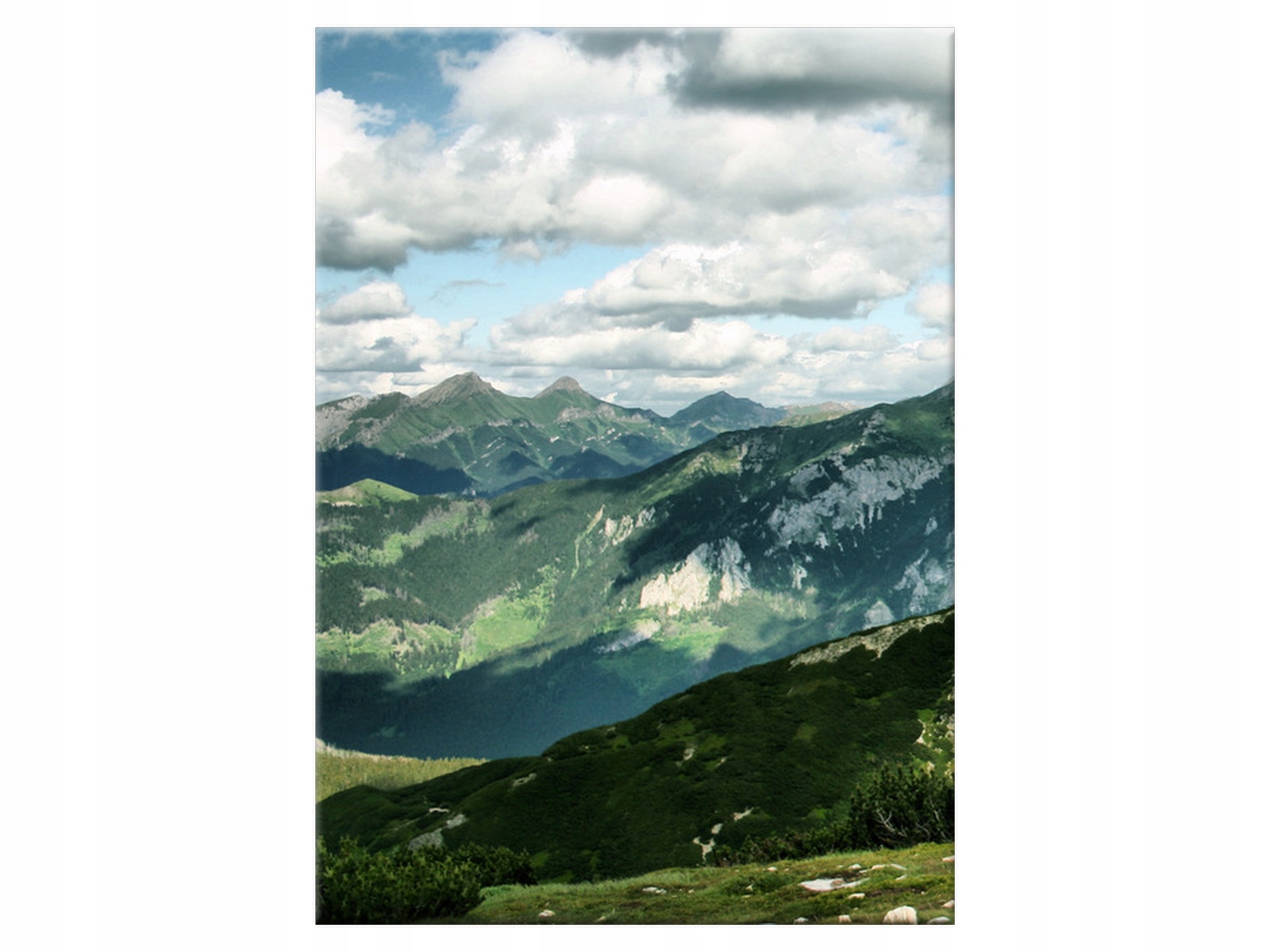 

Obraz na płótnie Tatry Góry 50x70 Las na ścianę