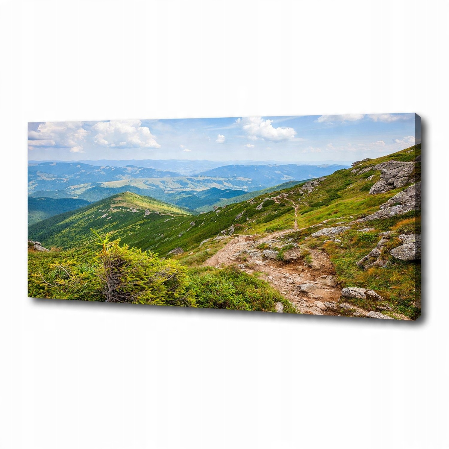 

Foto obraz na płótnie Zielone wzgórza 125x50 cm