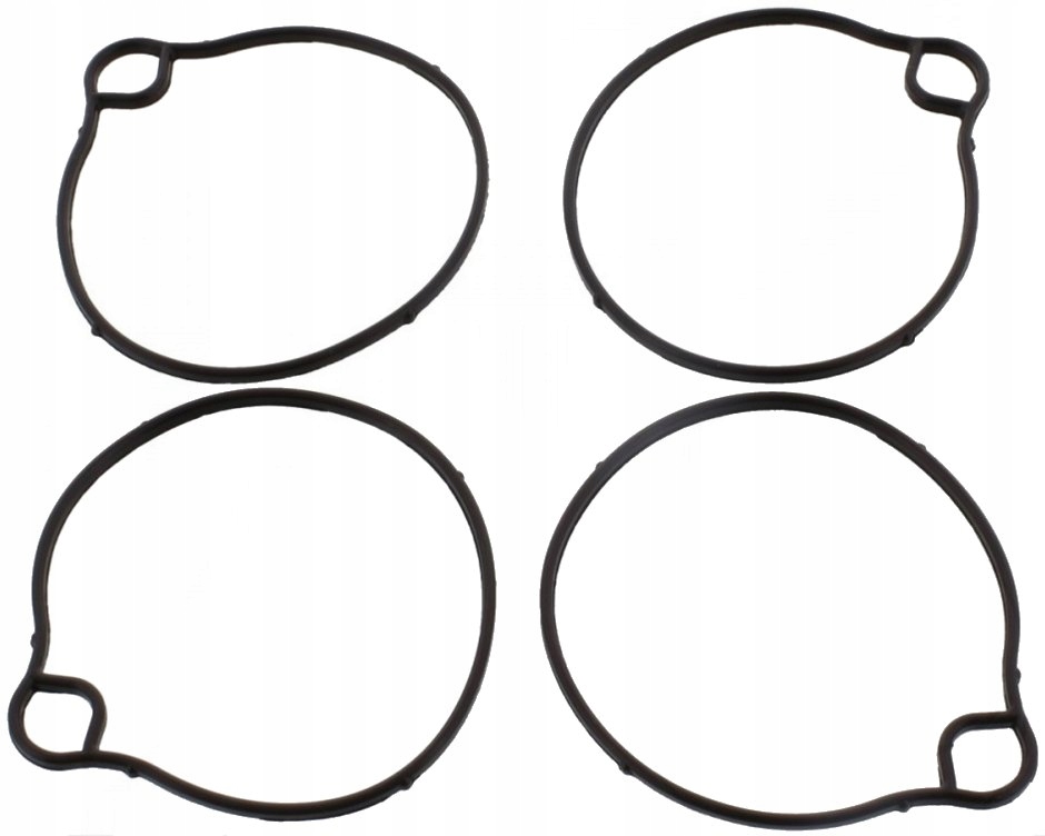 Těsnění plovákové komory Kawasaki Kfx 50 B Ksf