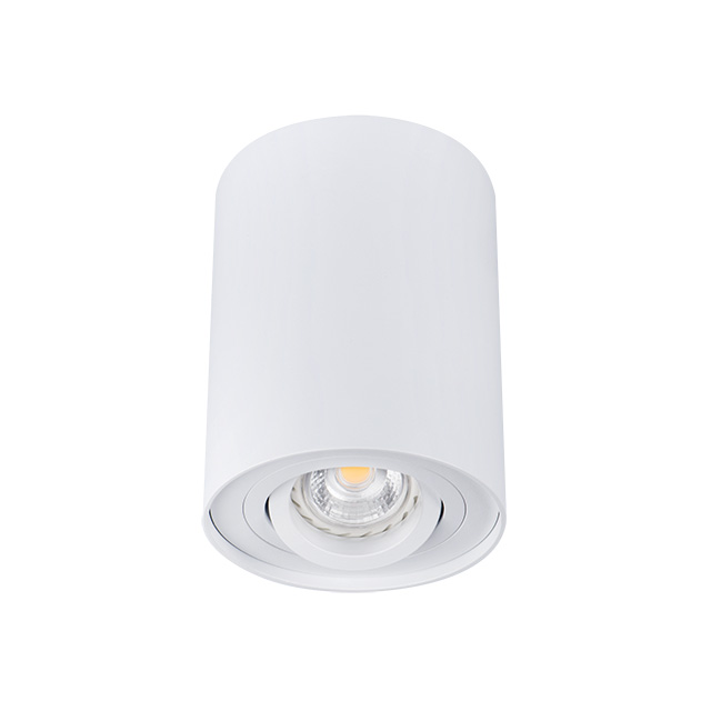 

Bord DLP-50-W oprawa sufitowa biała 22551 Kanlux