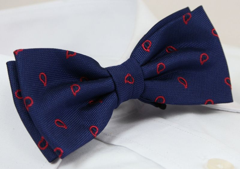 Elegancka mucha z poszetką Alties Marka inna