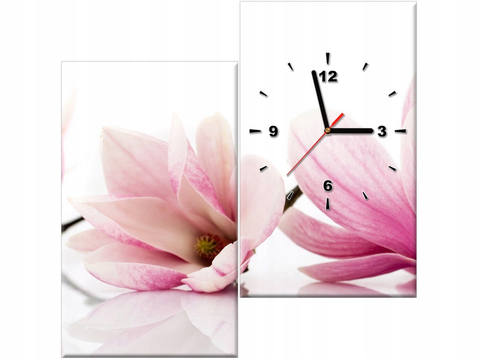 

Obraz z zegarem 60x60 Magnolie kwiaty do salonu