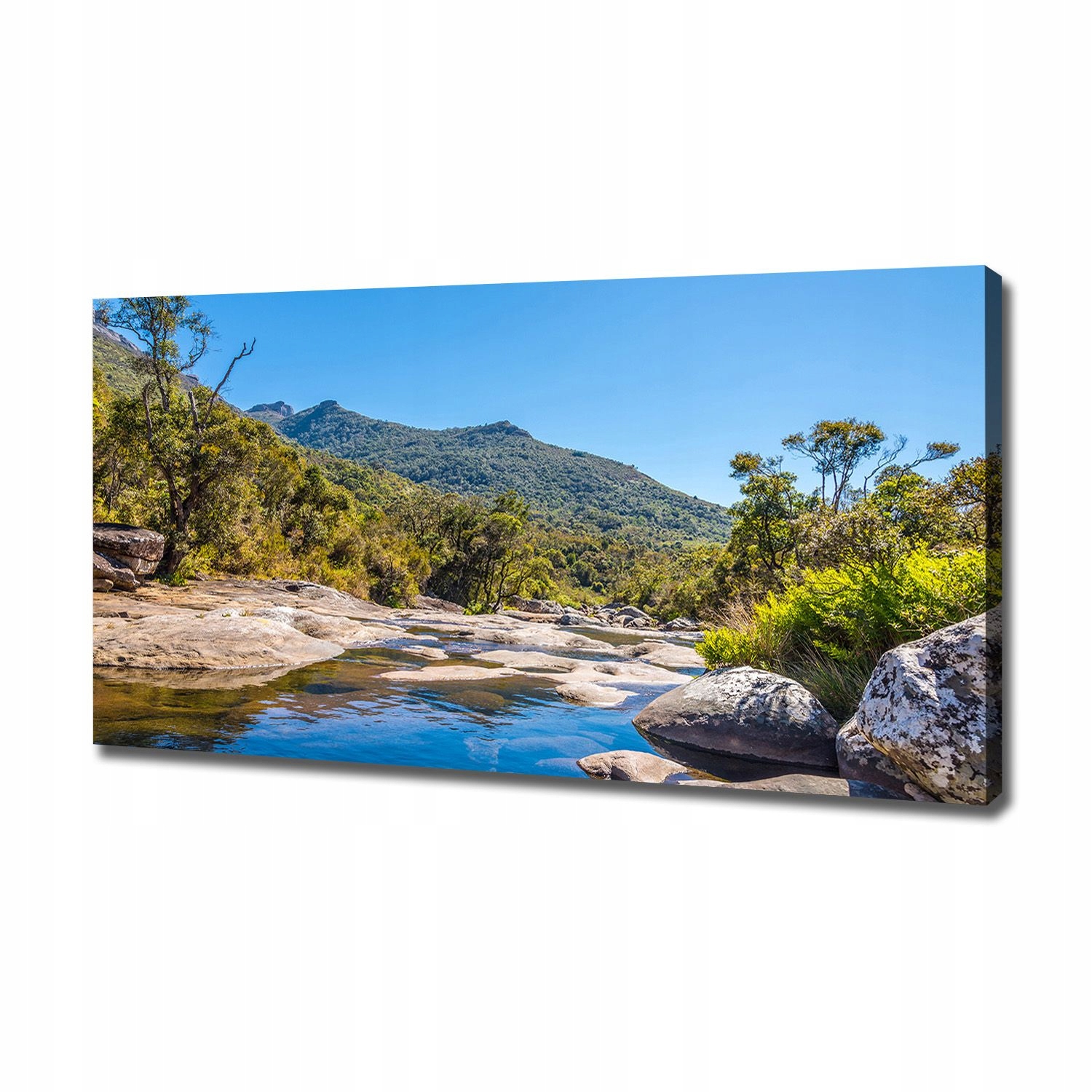 

Foto obraz na płótnie Rzeka w lesie 120x60 cm