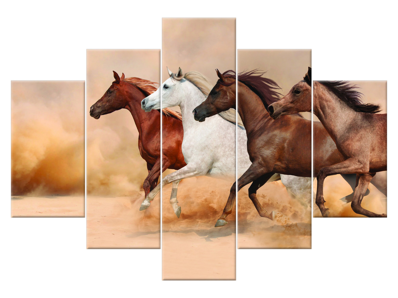 

Obraz Tryptyk Konie w galopie 150x105 Koń 2062A_5H