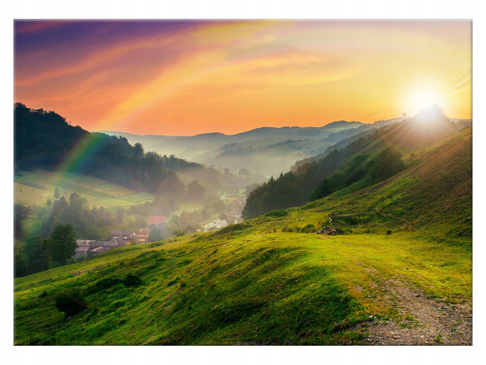 

Obraz Rośliny WIdok na wioskę 70x50 Drzewo kuchnia