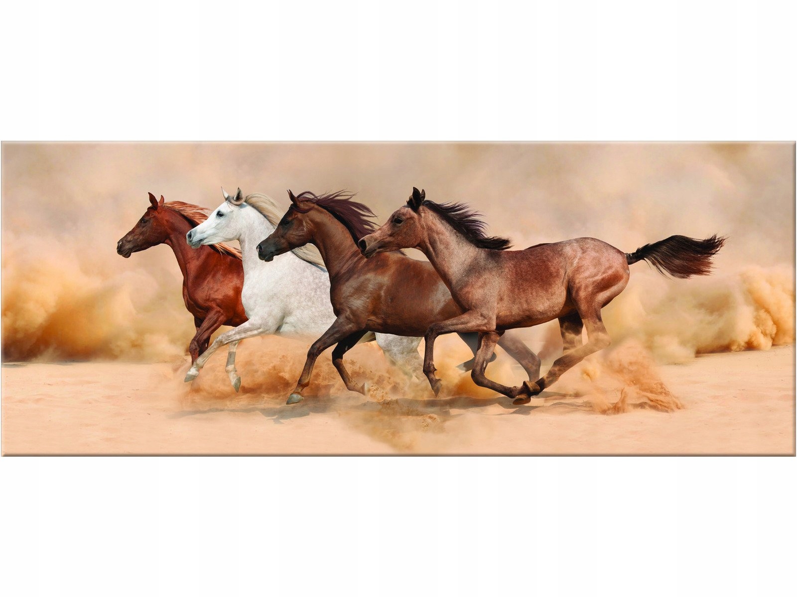 

Stado Koni 100x40 Koń Konie Obraz Obrazy W galopie