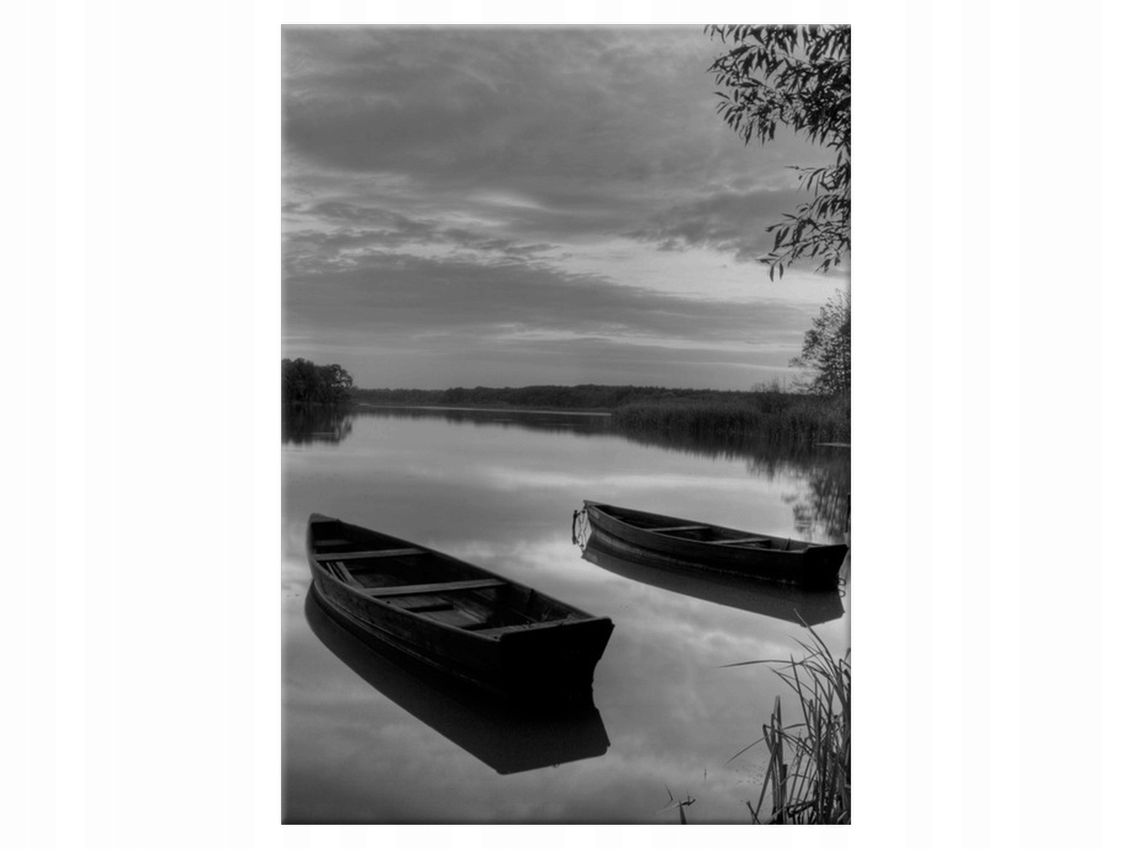 

Obraz Łódki wiosłowe Rośliny 50x70 Drzewo salon