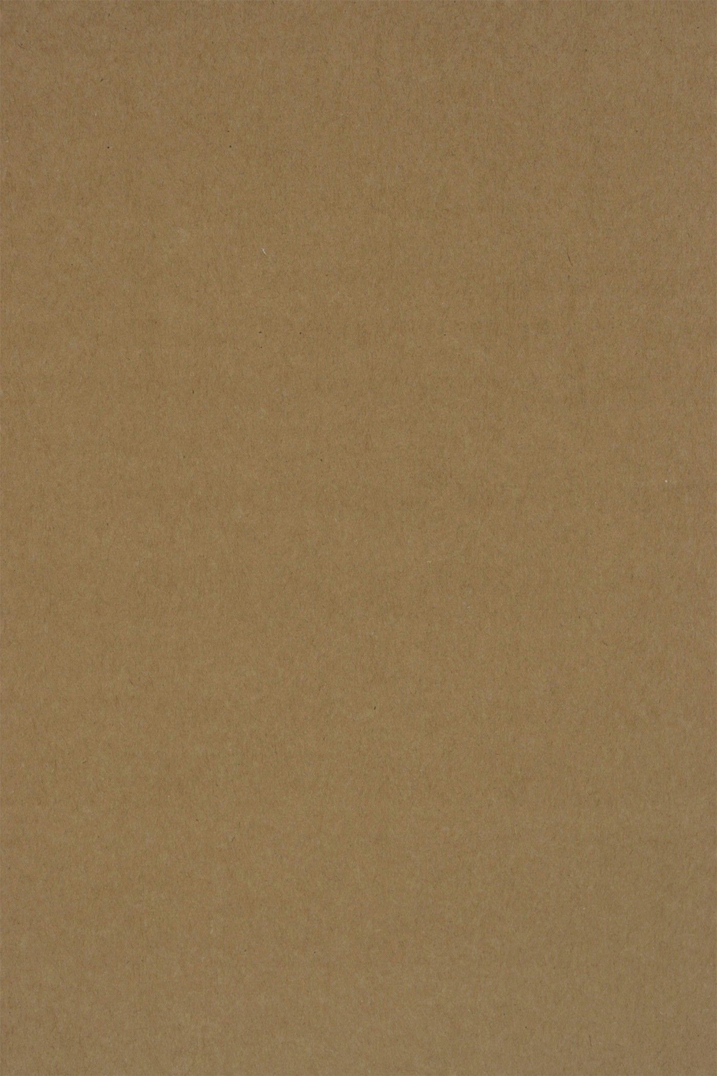 

Papier ekologiczny Kraft Eko Plus 340g brąz 20A4