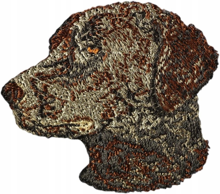

Curly coated retriever Haft Naszywka Przyszywka
