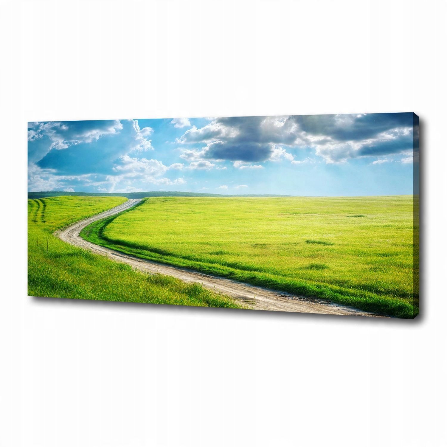 

Foto obraz na płótnie Ścieżka na łące 125x50 cm
