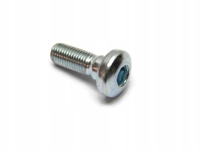 

Śruba montażowa M8x 1 22mm 1szt /R29/