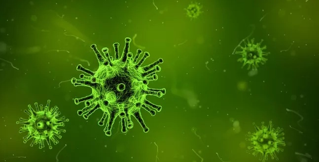 Maska ochronna Marka WS