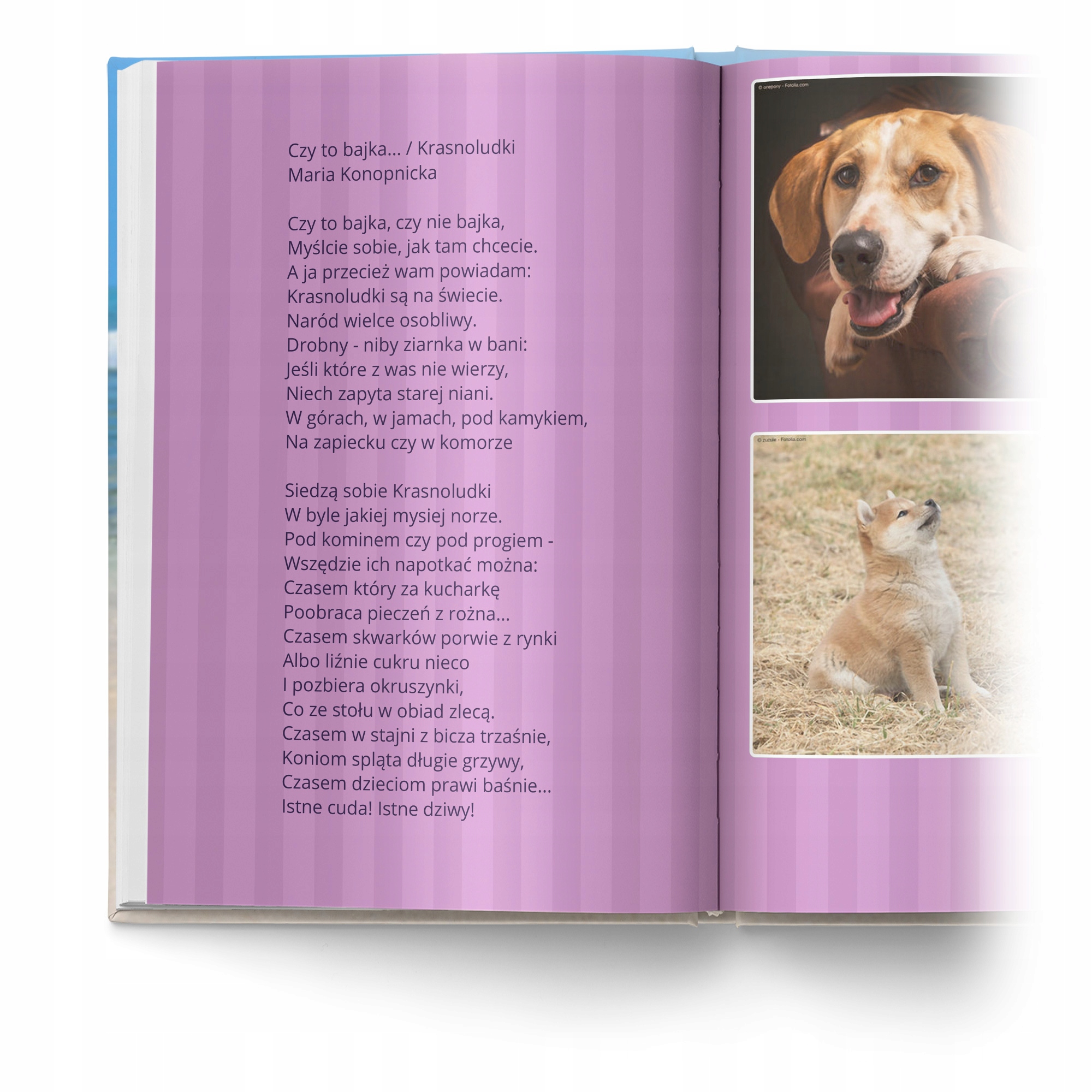 Foto-książka A4 pion 60 stron oprawa twarda Rodzaj papieru papier kredowy matowy