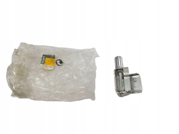 Петля двери правая задняя нижняя RENAULT CLIO 8200213725