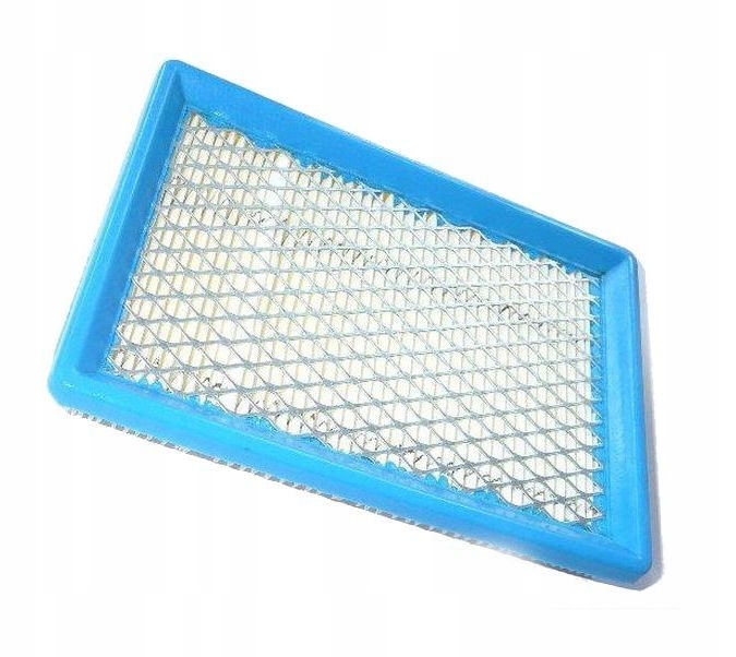 

Filtr powietrza do Briggs Stratton 165x114x19